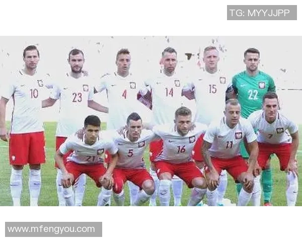 波兰足球明星的崛起与辉煌历程探秘与成就分析