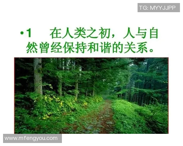 篮球与足球明星共同选择的社交平台背后的故事与影响分析